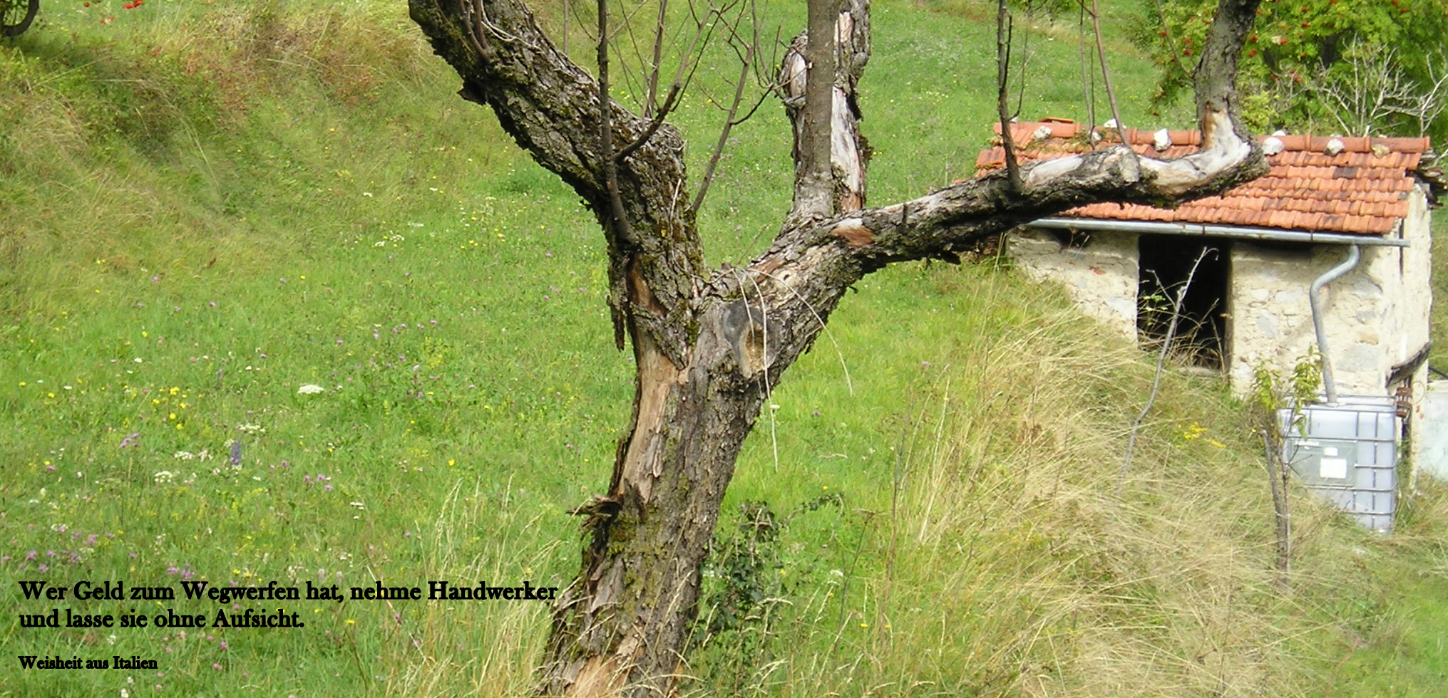 Die Axt im Haus erspart den Zimmermann